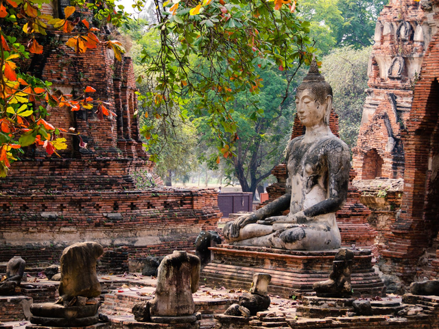 Ruinen in Ayutthaya, Thailand Reisen, Tempel, Buddha