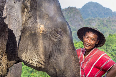 Elefant mit Betreuer, Elephant Hills, Khao Sok, Thailand Naturreise